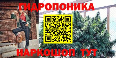 прущие крисы Шахты