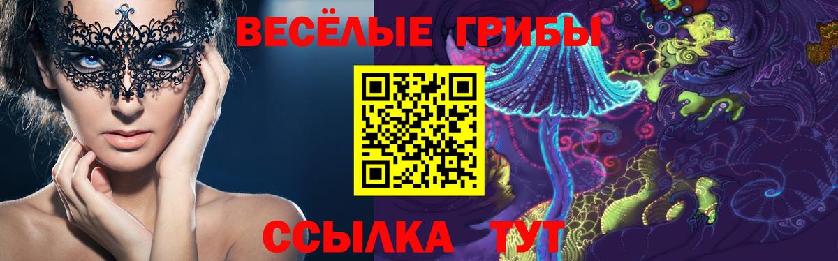 Галлюциногенные грибы Psilocybine cubensis  Вход с VPN  Первоуральск 